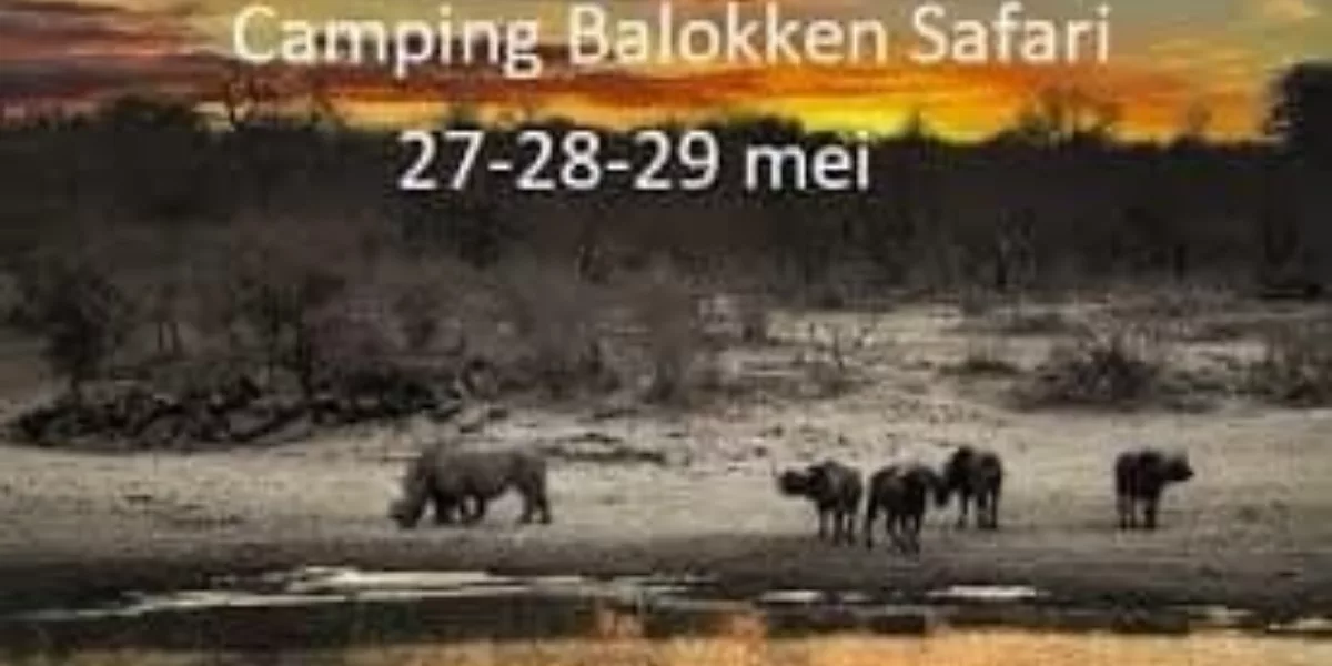 Unieke sfeer op Camping Balokken