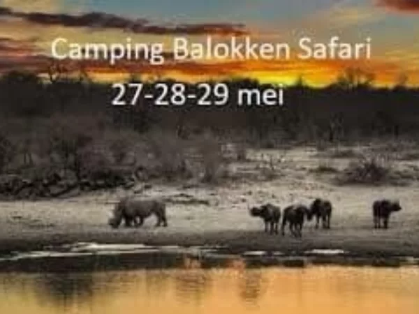 Unieke sfeer op Camping Balokken