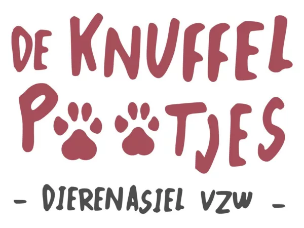 Word jij het nieuwe baasje van Snoopie?