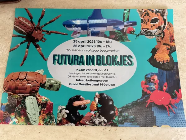 Dit weekend vindt in Geluwe 'futura in blokjes plaats', een unieke legobeurs